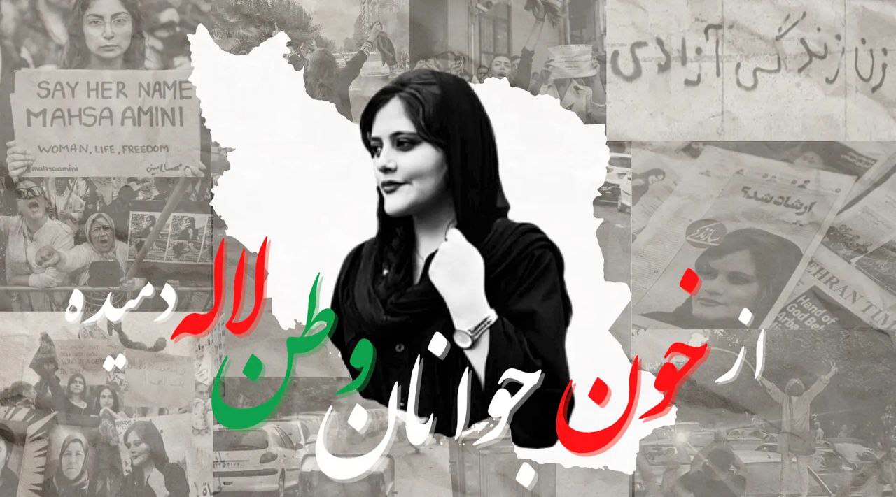 photo_2026-02-27_23-23-12